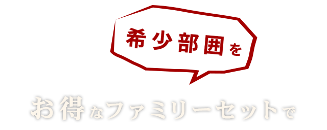 お得なファミリーセットで