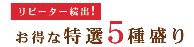 お得な特選5種盛り