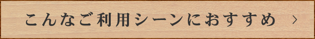 こんなご利用シーンにおすすめ